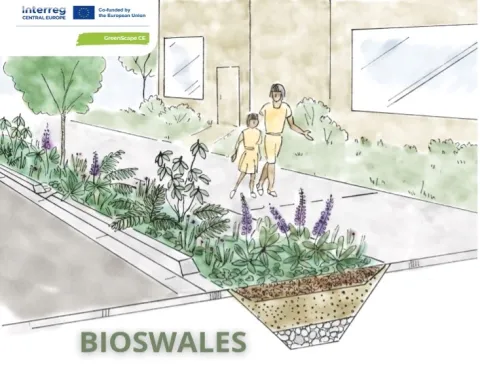 Bioswales