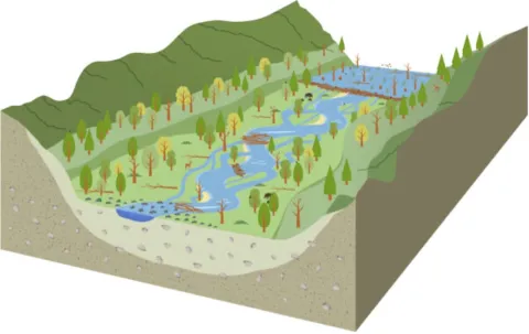 Floodplain Restoration