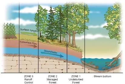Riparian Buffers